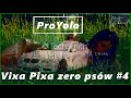 Vixa Pixa zero psów #4