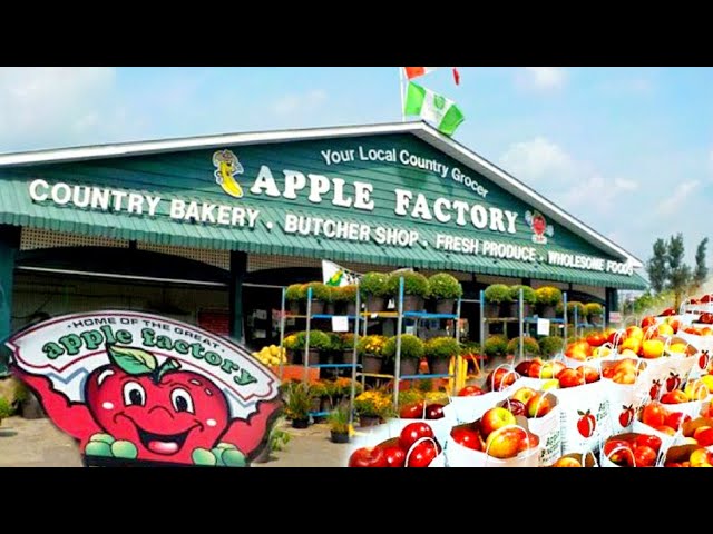 A Sweet Trip to The Apple Factory - The JFK | The Joint Family Vlogs