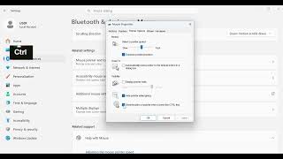 Find Mouse Pointer in Windows