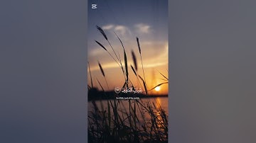 ماهر المعيقلي ، سورة الانعام