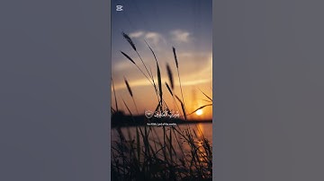 ماهر المعيقلي ، سورة الانعام