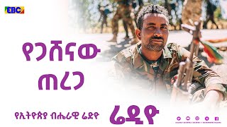 የጋሸናው ጠረጋ (የኢትዮጵያ አንበሶች ውሎ በአንዷ ቀን)