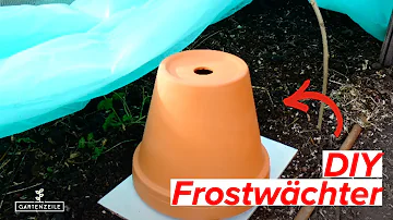 Wie stellt man einen Frostwächter ein?