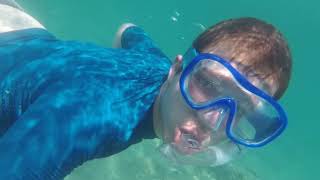 Snorkeling Moments 2019