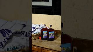 ¿Por qué le dicen "Pulmón" a esta botella?