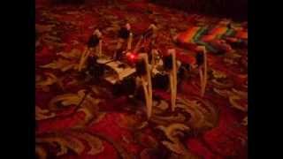 Homebuilt hexapod robot - first steps