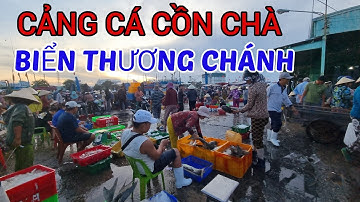 1-5 Khám phá Chợ Cá Cồn Chà Biển Thương Chánh Cảng Cá Phan Thiết Hải sản tươi Ngon ở Bình Thuận