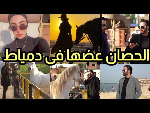 The Horse Bit Her.. Ras El Bar and a Beast in New Damietta.. Two Knights and a Lady Pursuing Thei...