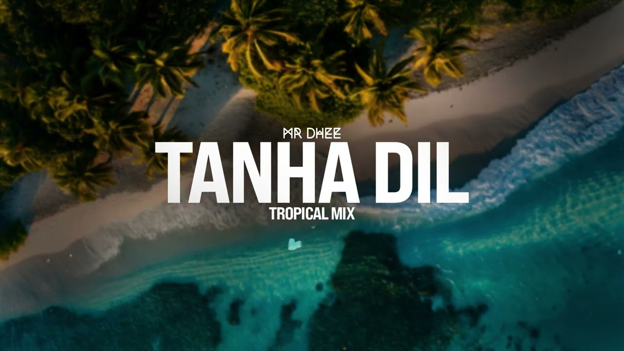 Tanha Dil Tanha Safar | Tropical Mix | mrdhee