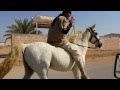 Bareback canter on an arabian horse and how to make it easier for beginners