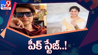 Sai Pallavi Movies : Latest and upcoming films of Sai Pallavi - TV9