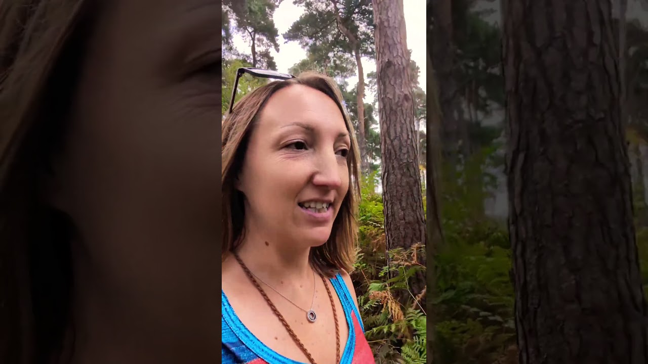 I SWEAR by forest therapy 