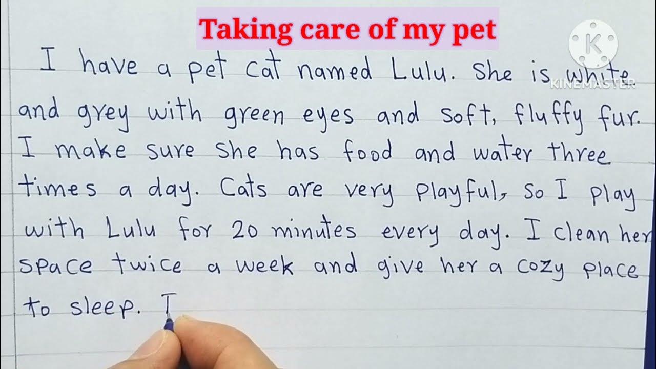 a short essay on taking care of pets