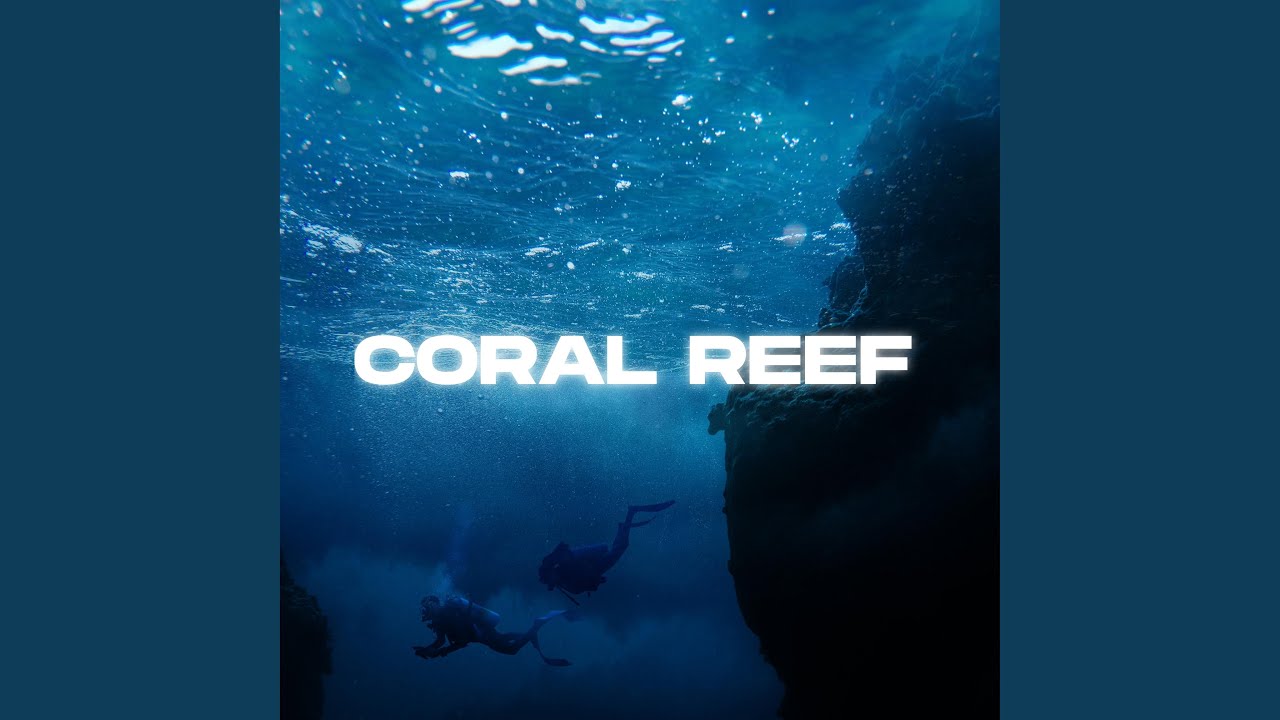 Coral Reef YouTube