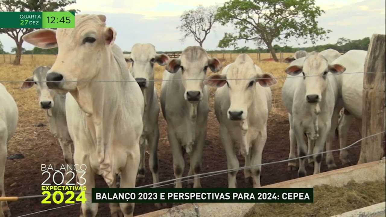 Cepea: balanço de 2023 e expectativas para 2024