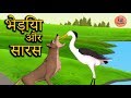 भेड़िया और सारस | Wolf And The Crane | Moral Stories For Kids in Cartoon