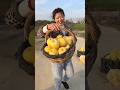 My mother was throwing away the delicious yellow apples 🍎🍎 | Delicious Apple #fruits #apple