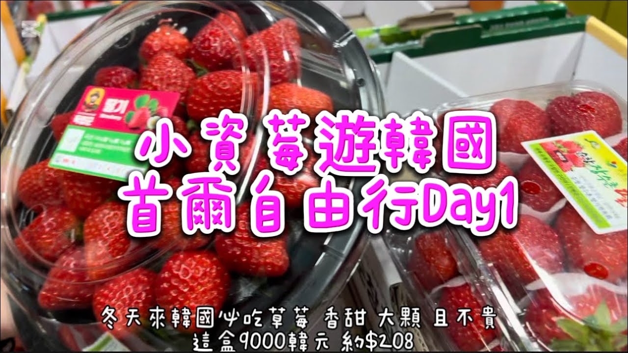 小資莓遊韓國首爾自由行Day1 Korea Free Travel #韓國 #自由行 #草莓