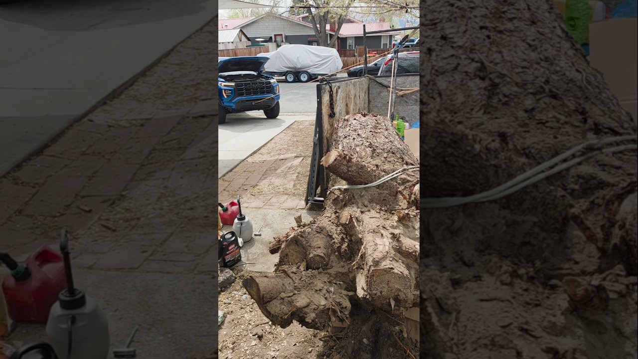 World first 2023+ Canyon Hidden Winch