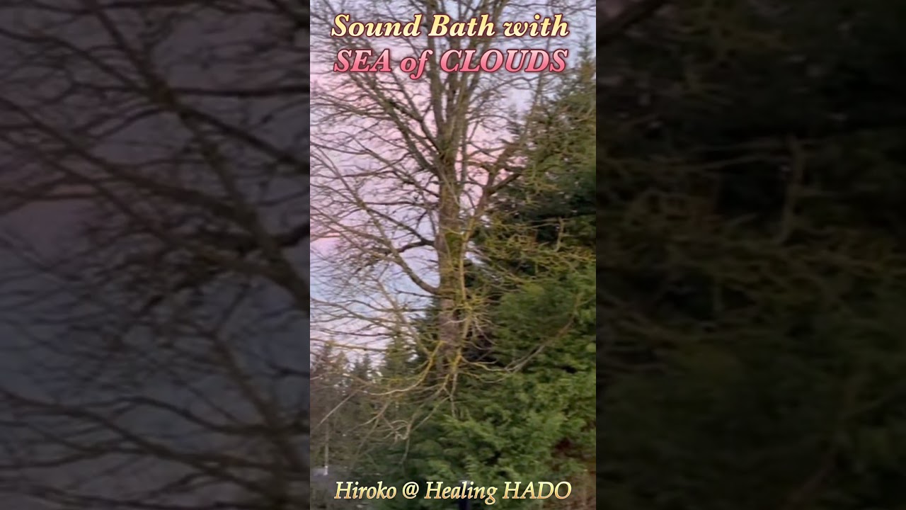 【Hado Healing】Sound Bath with Snow Moon #fullmoonsoundbath #shortvideos #soundbath #shorts