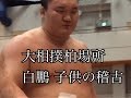 大相撲柏場所　白鵬　子供の稽古 2017.4.20