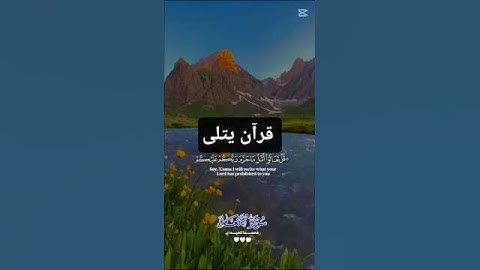 #آيات بينات من سورة الانعام#ذكر_فإن_الذكرى_تنفع_المؤمنين #اكسبلور