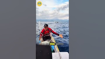 Lộc Trời Cho Khi Gặp Đàn Cá Khổng Lồ!