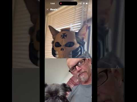 ハンクの猫ヘルメットアドベンチャー:POVカメラテスト?!