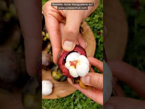 Video: Exotic Fruit Growing: Erfahren Sie mehr über verschiedene tropische Obstsorten