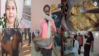 🤲Alhamdulillah Ghar Mein Qurbani Ka Janwar Aaya !!! Mayka Vlog