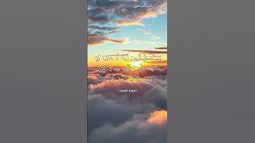 سورة الإسراء من آية 45 إلى آية 47 بصوت الشيخ ياسر الدوسري❤❤