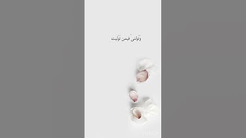 وديع اليمني سورة التحريم