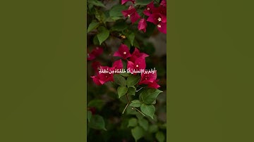 من أنت أيها الإنسان المغرور! لا شيء || فضلية د. الشيخ أحمد طالب ما تيسر من سورة يس #اكسبلور