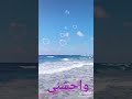 حالات واتس اب مبتسالش ليه