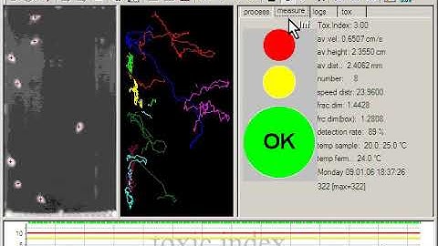 DaphTox II by BBE Moldaenke - software screen showcase