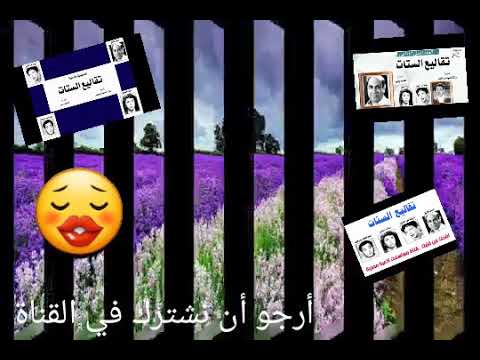 مسلسلات إذاعية تقاليع الستات الحلقة  فى قناتى نكت وحواديت عبدة معاكم ديما