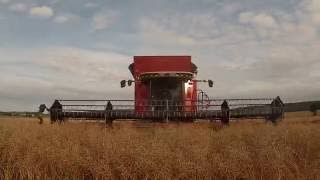 Moisson du colza 2016 /  Rape harvest 2016 [GOPRO]