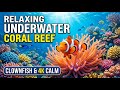 Calm Music to Heal Depression, Calm the Soul • Healing Sounds