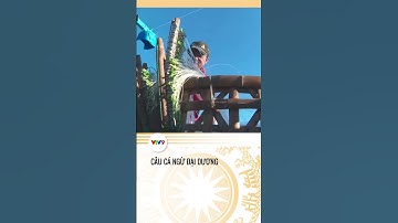 #Shorts : Câu cá ngừ đại dương