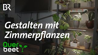 Urban Jungle in der Oberpfalz  Gestalten mit Zimmerpflanzen