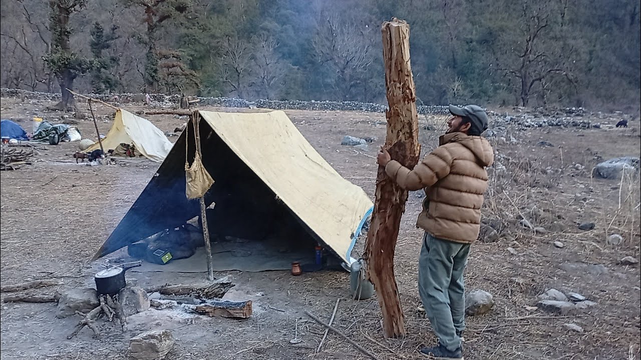 Best Life in A himalayan sheephard Life |Must comfortable himalayan Sheephard Organic food cooking🇳🇵