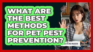 What Are The Best Methods For Pet Pest Prevention? - Insects and Invaders