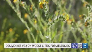 Des Moines found to be one of country's worst cities for allergies