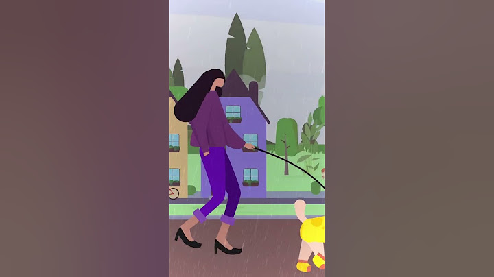 How to Walk Dogs in the Rain? | Petpedia's Tips and Tricks
