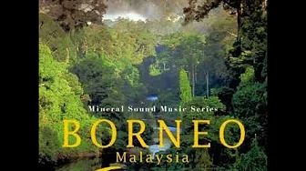 Takashi Kokubo - Borneo : Malaysia ~密林のソリスト~, 1998 (Album) Takashi Kokubo - Borneo : Malaysia ~密林のソリスト~, 1998 (Album)