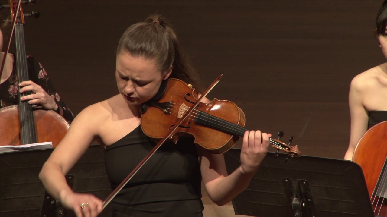 Tchaikovsky violin concerto op.35 First 5 minutes YouTube