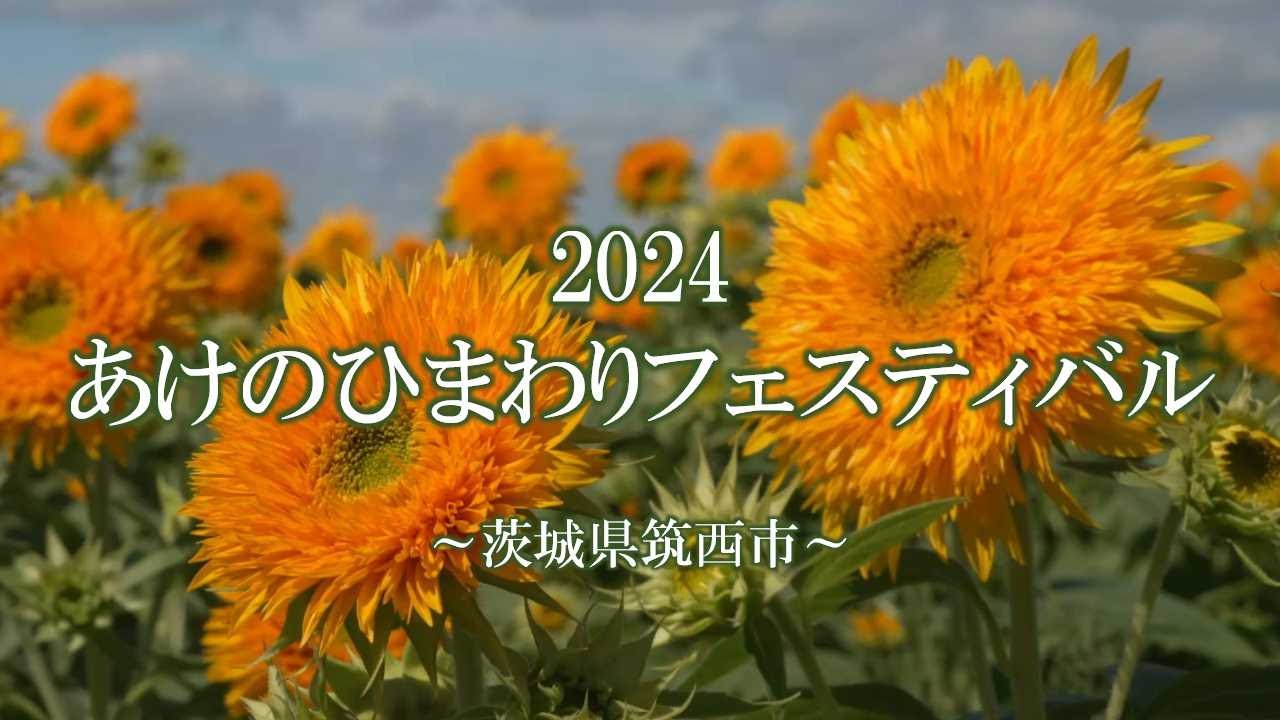 hq720.jpg?sqp=-