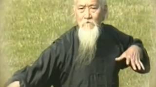 Qigong Master Lu Zijian at 118 years of age