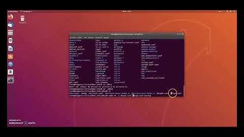 Instalar y configurar servidor DHCP.