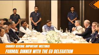 Chaired several important meetings | Formal dinner with the EU delegation